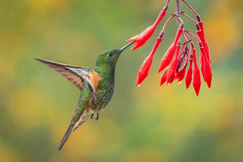 DSC1280-Editar-1024x683