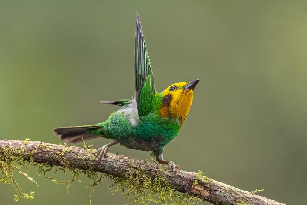 DSC9998-Editar-1024x683