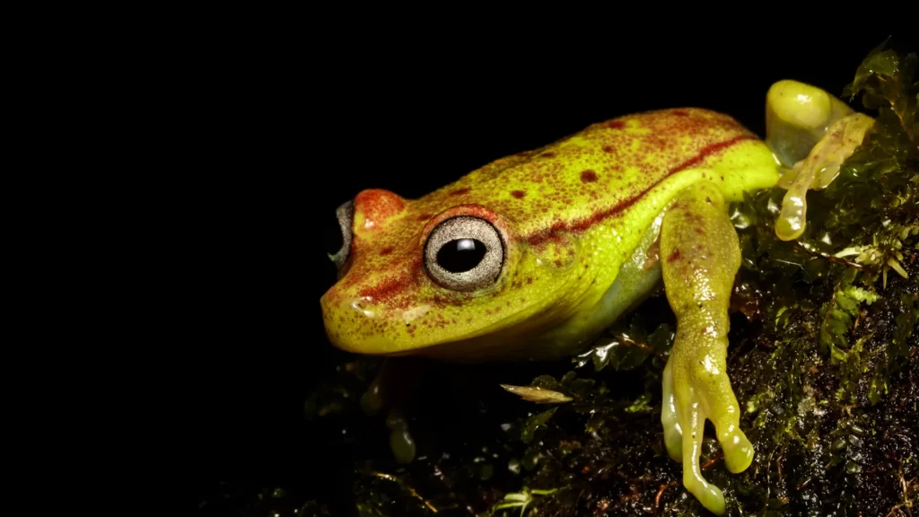 KNT_Guaviare2-1024x576