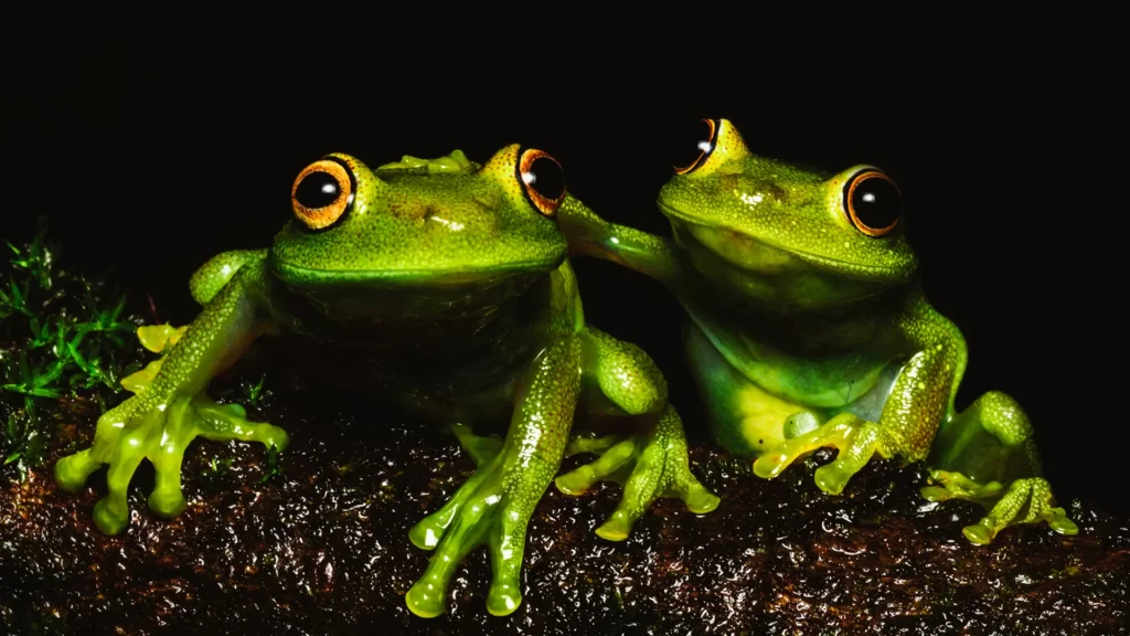 KNT_Guaviare4-1024x576