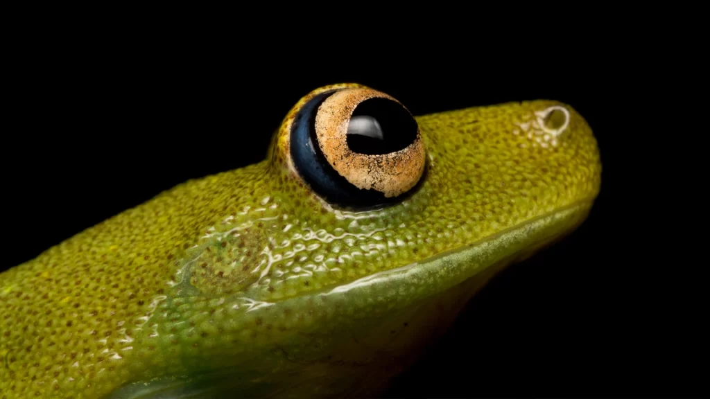 KNT_Paraiso_Terrenal_16-1024x576