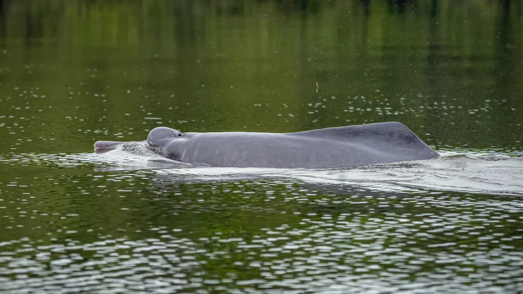 KNT_Paraiso_Terrenal_17-1024x576