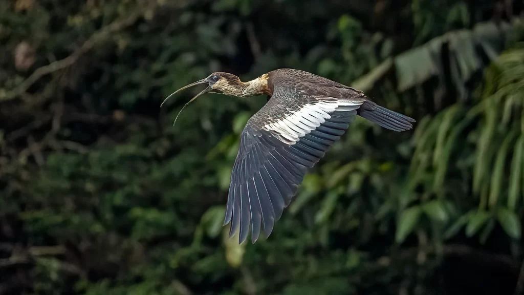 KNT_Paraiso_Terrenal_23-1024x576