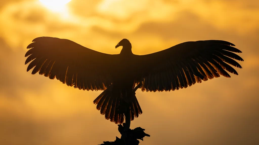 KNT_Paraiso_Terrenal_24-1024x576