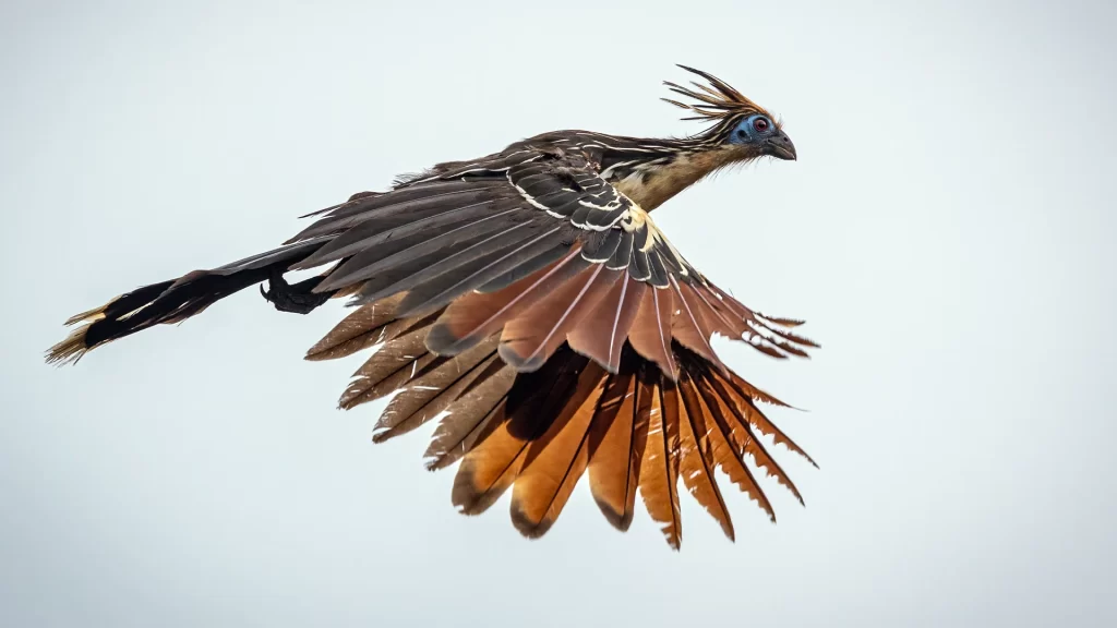 KNT_Paraiso_Terrenal_25-1024x576