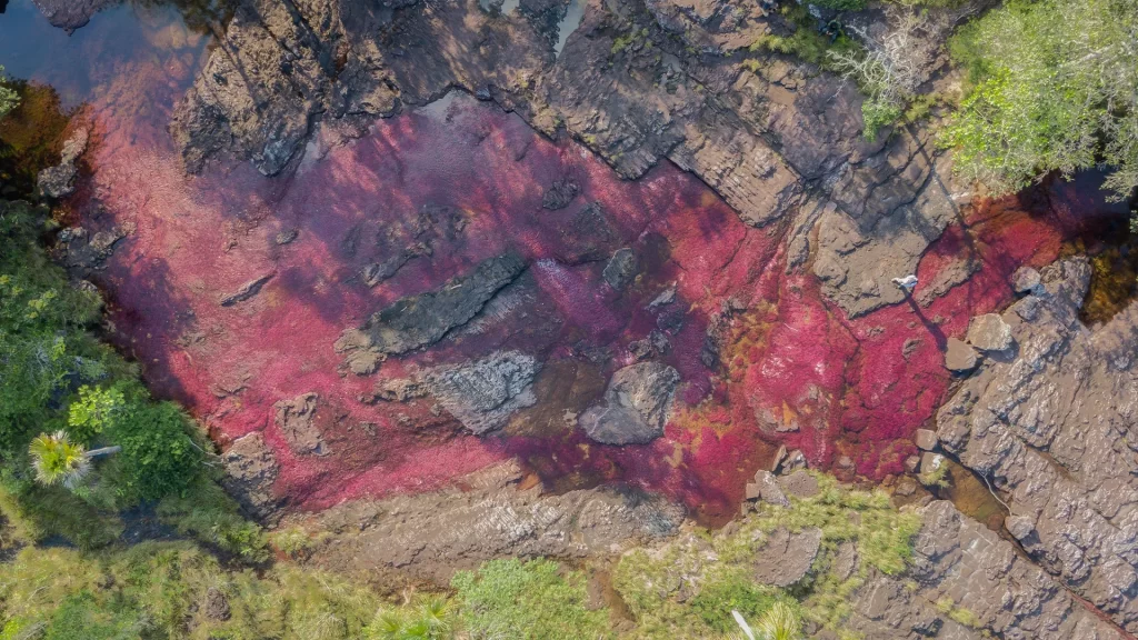 KNT_Paraiso_Terrenal_27-1024x576