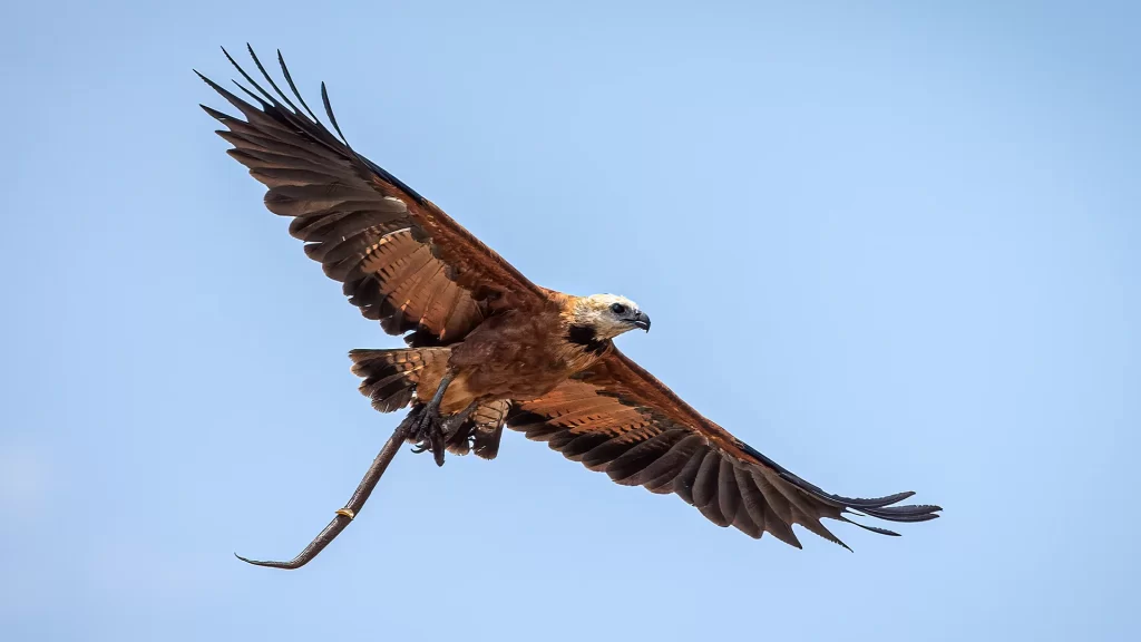 KNT_casanare_salvaje23-1024x576