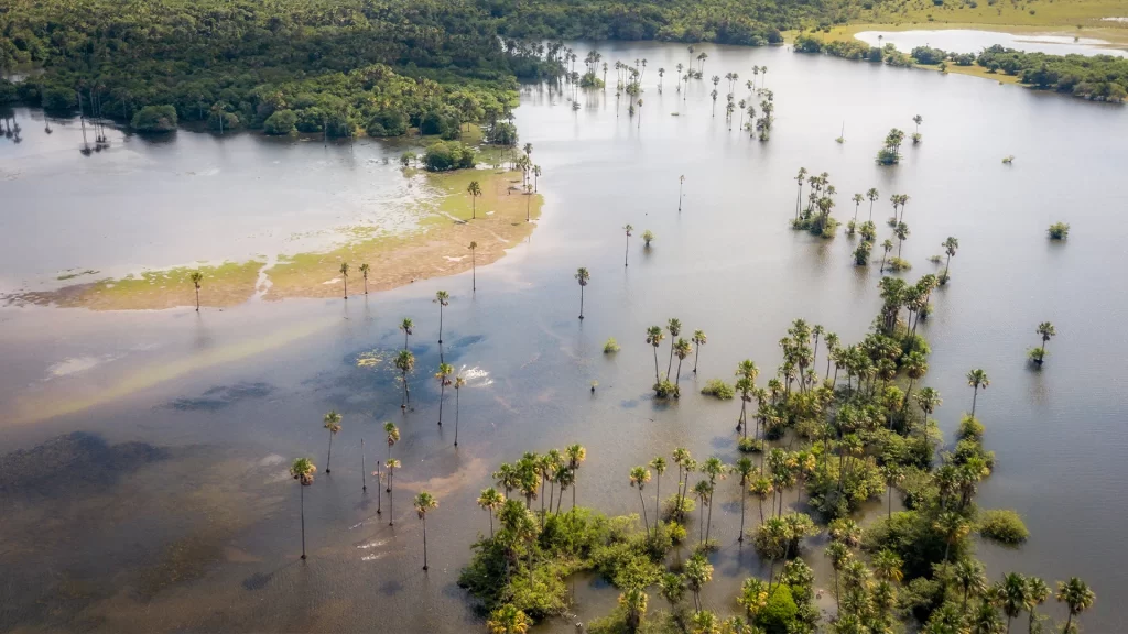 KNT_casanare_salvaje24-1024x576