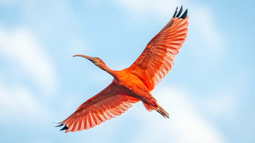 KNT_casanare_salvaje3-1024x576