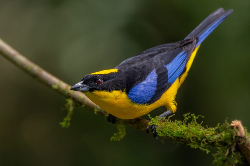 MG_5028-Editar-1024x683