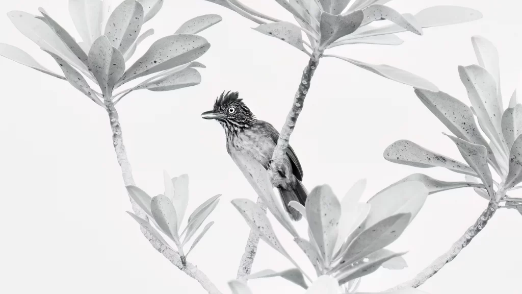 Travesia_Mundos_02-1024x576