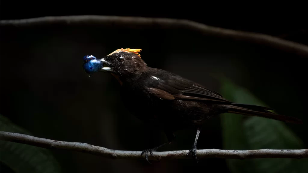 Travesia_Mundos_04-1024x576