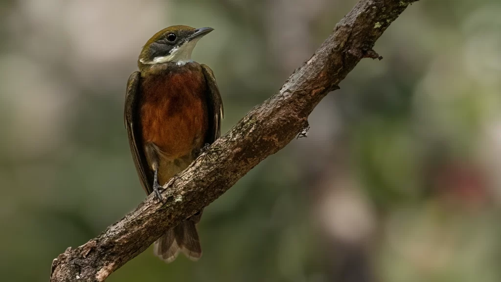 Travesia_Mundos_05-1024x576