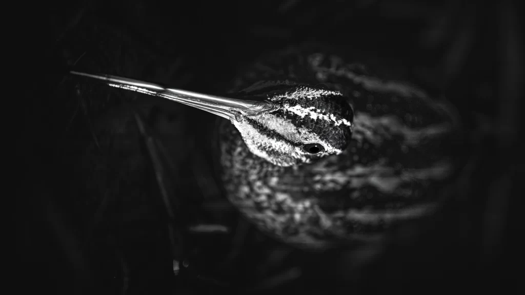 Travesia_Mundos_06-1024x576