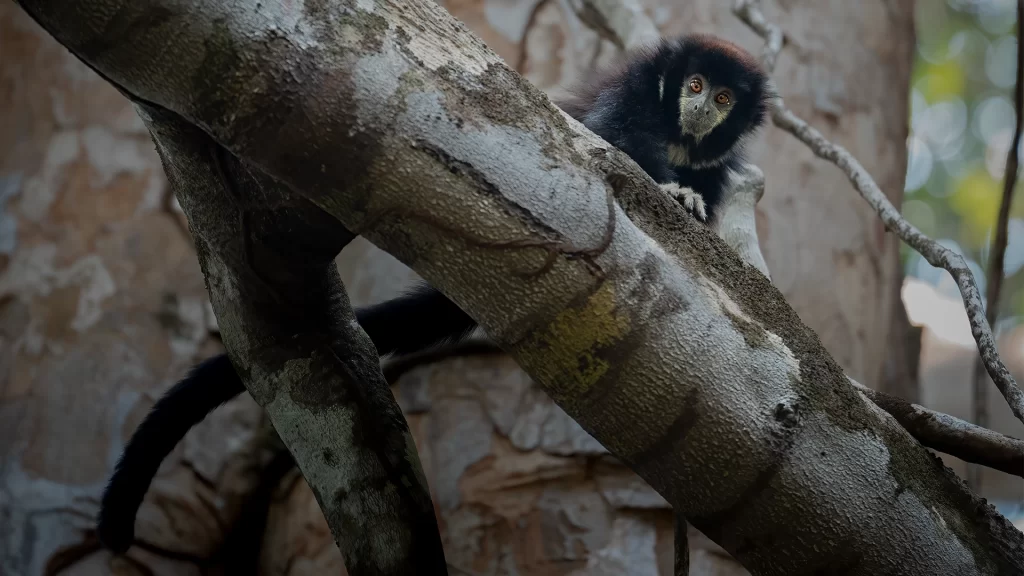 Travesia_Mundos_12-1024x576