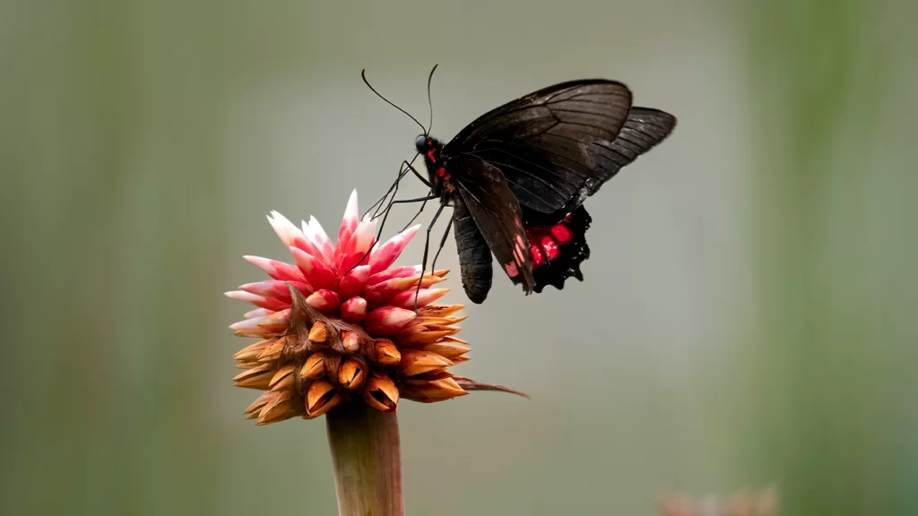 Travesia_Mundos_14-1024x576