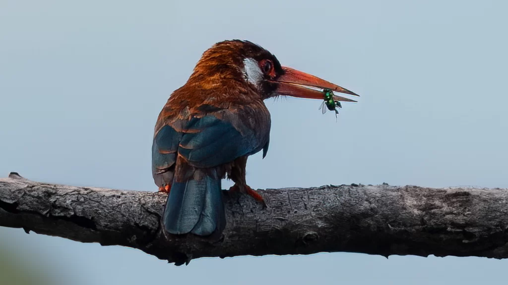 Travesia_Mundos_20-1024x576